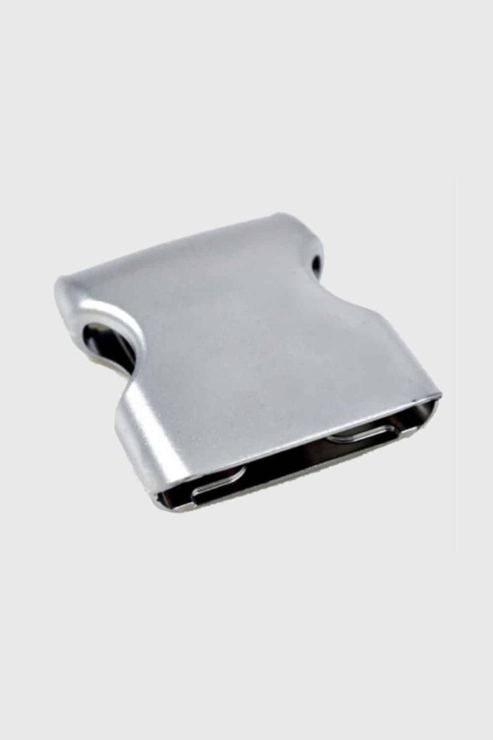 Gesp – zilver